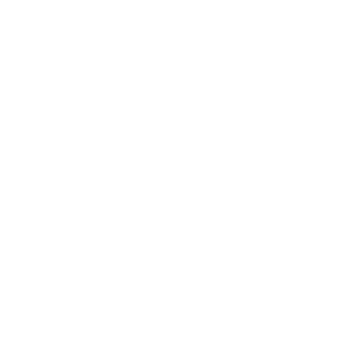 Ebfgnt LLC